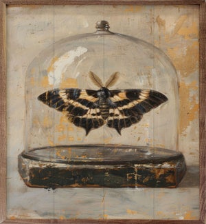 Glass Moth III By Petals Prints Design